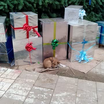 Подароки под ёлкой.