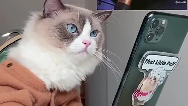 Why it always failed…