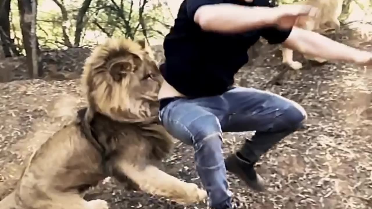 Lion 🦁 hug me but Im not interested 😭