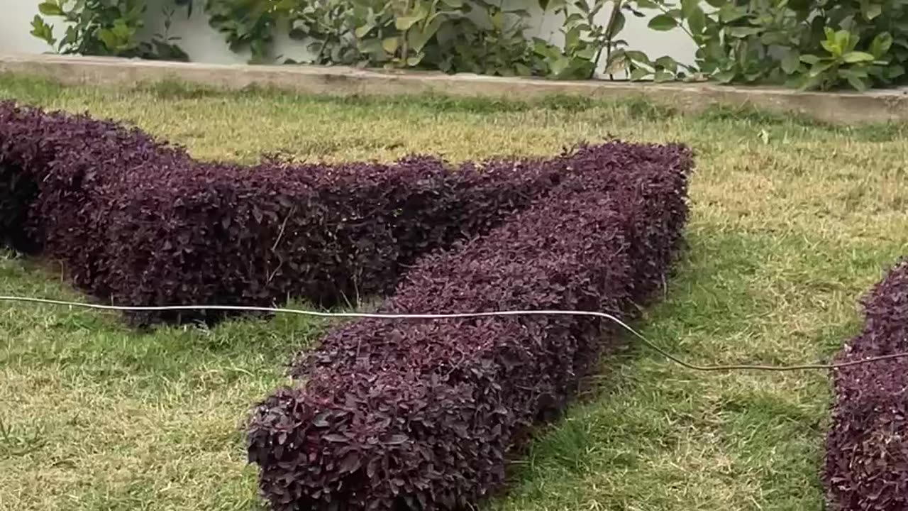 Beautiful