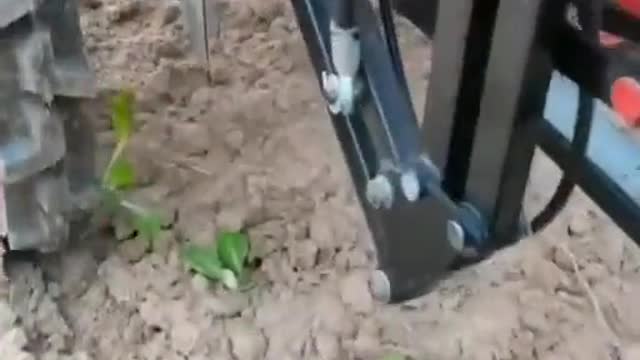 Modern seedling planter