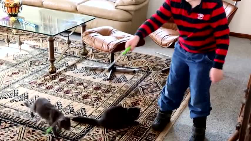 Training Your Cat Is Easy With This Clever Method From Jackson Galaxy