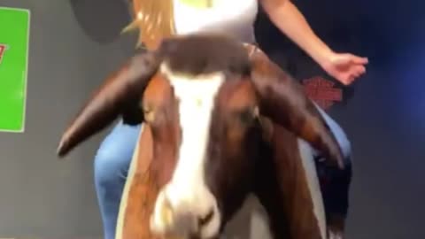 bootyTUBE BULL 8 