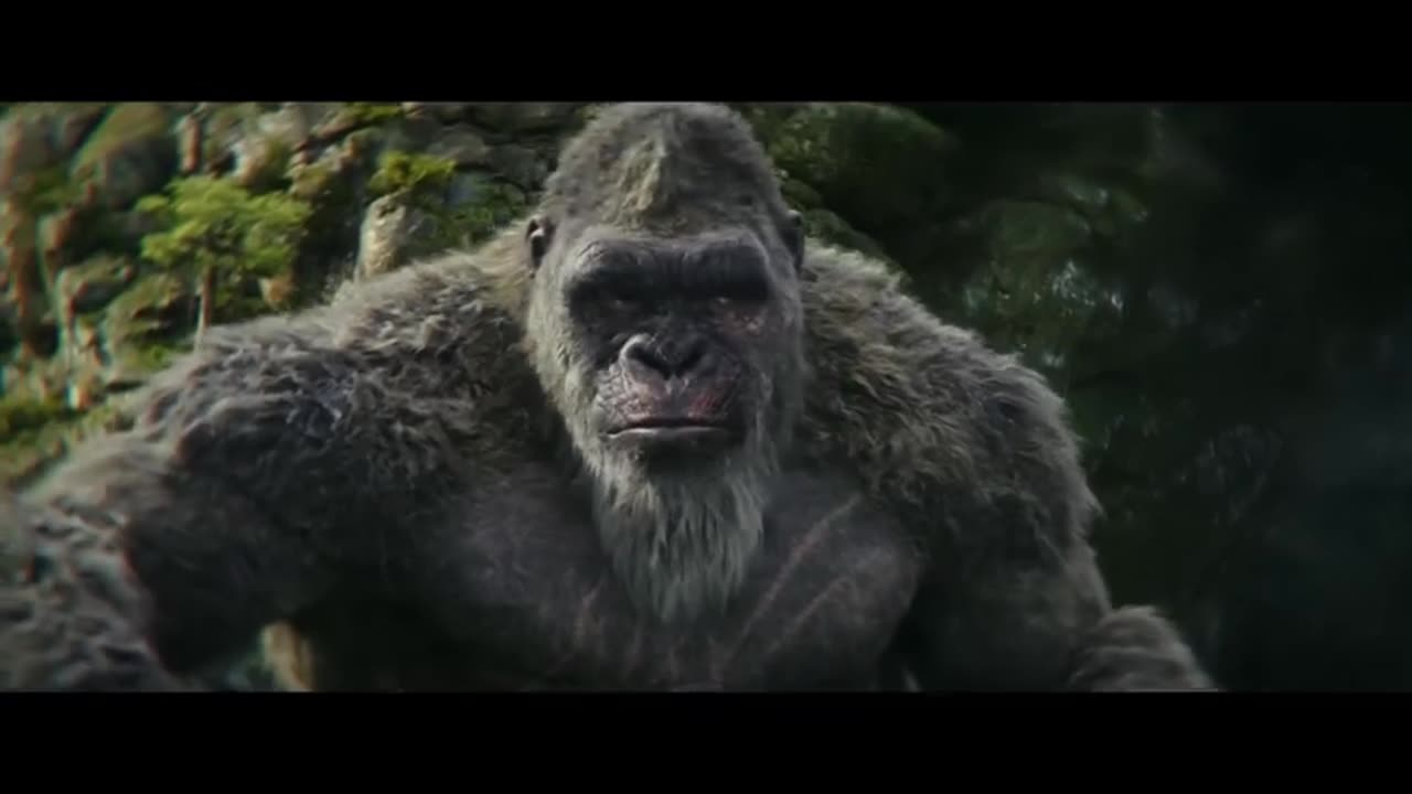 Kong