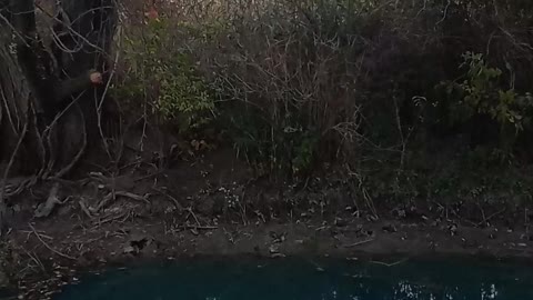 Blue creek water and the first taste of fall weather