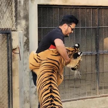 Noman husan tighar friend ship