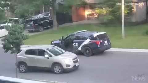 WATCH: Wild turkey faces off against Canadian police officer