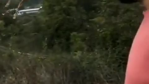 'Flying' Deer Leaps & Jumps 7 Ft Into The Air, Leaves People Stunned | Watch