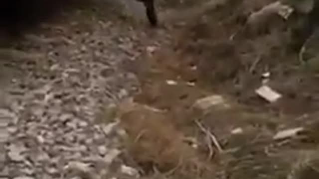 Killed || A very young teen guy Tiktoker killed by train