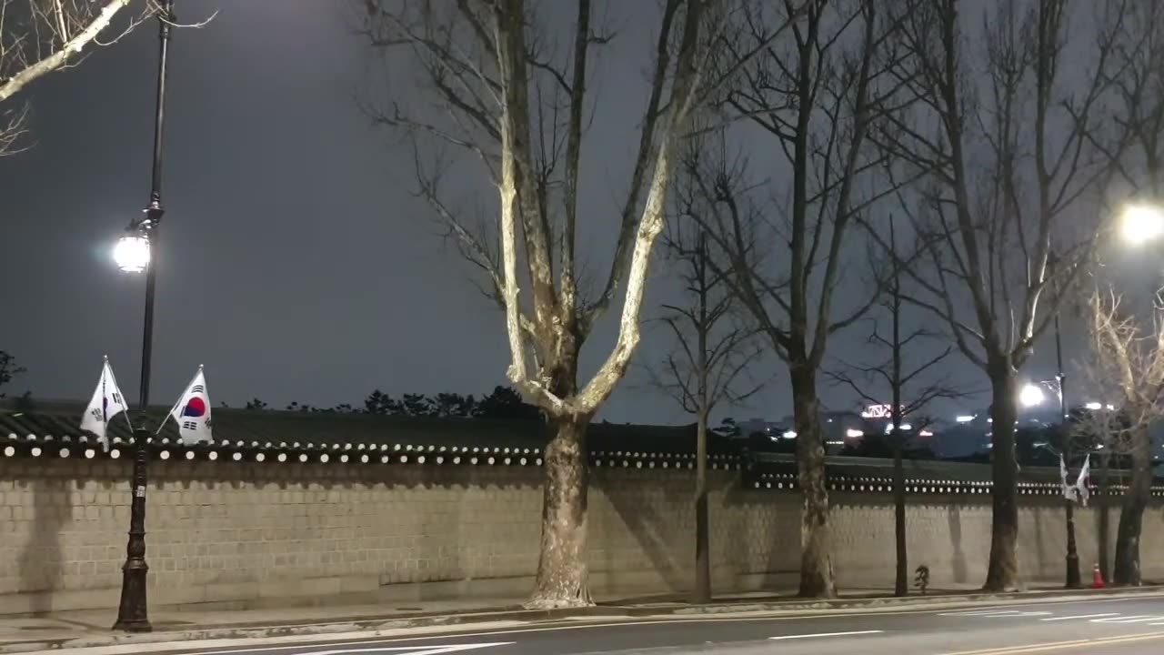 20200327_V3_S02(OdaADzMnJr0)청와대 화합의 나무 앞에서 간증의 간증을