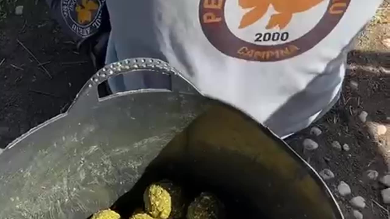 Ground Baiting with single shoot for fishing