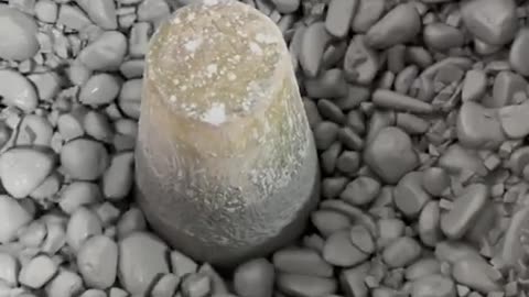 Agate's Mexican