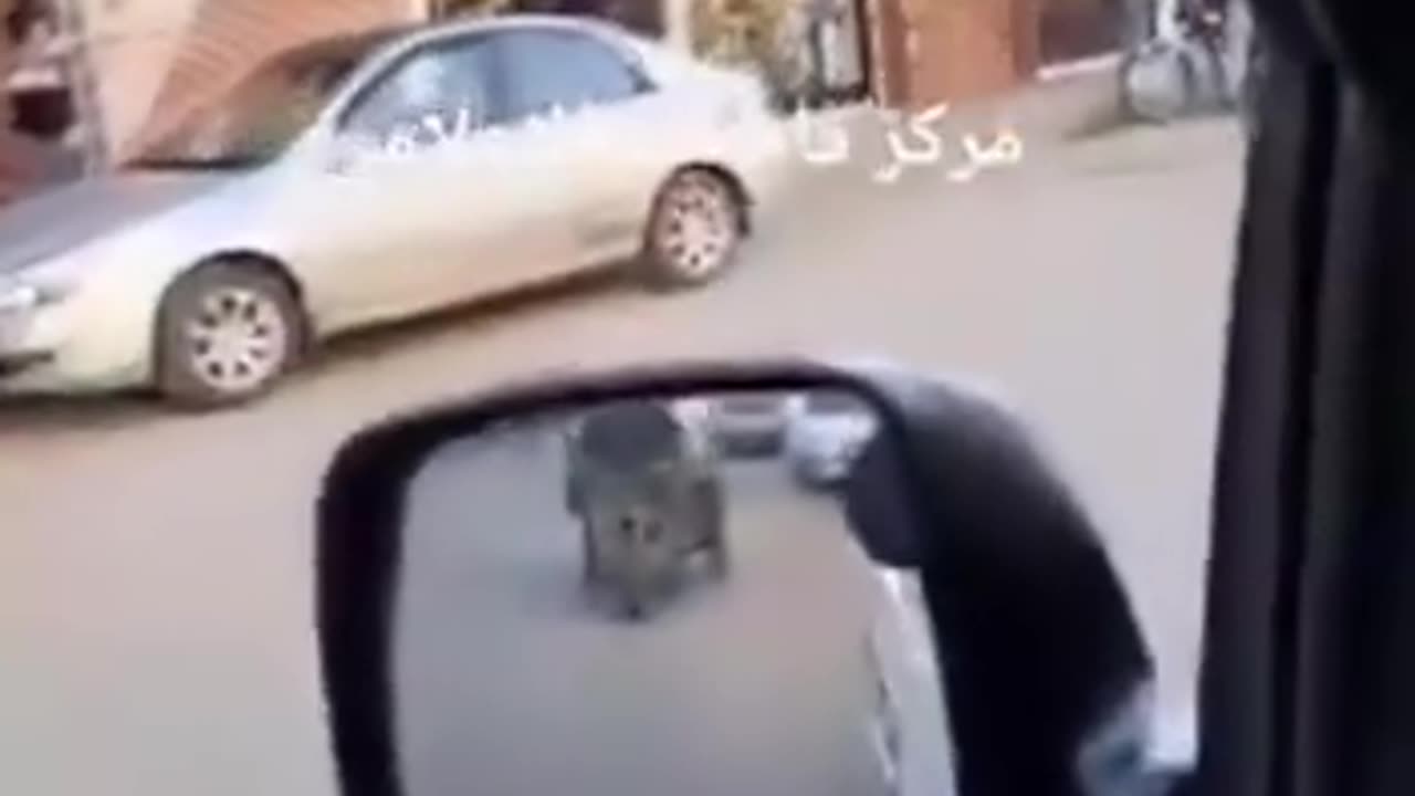 ๐บ๐ธ๐ธ๐พThe US Army continues to amass forces in the Qamishli region