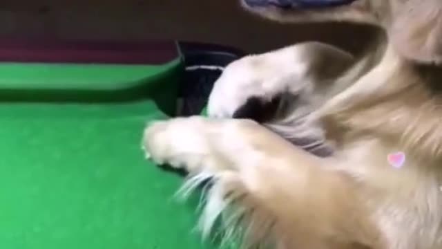 It can play billiards, too