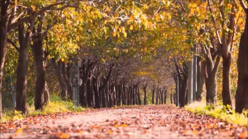 Luźne Rozmowy na Temat Prawa Naturalnego & Życia W Obecnych Czasach