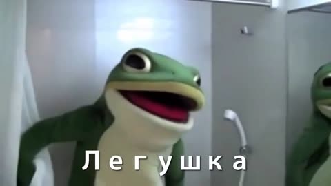 ЛЕГУШКА