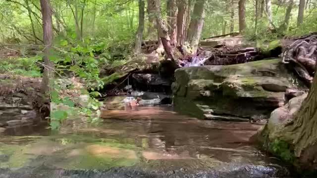 PEACEFUL SOUNDS! We’ll not if you have to pee 😊