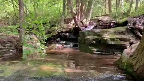 PEACEFUL SOUNDS! We’ll not if you have to pee 😊
