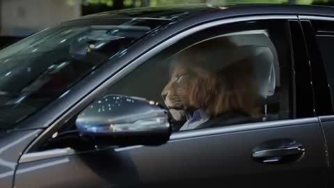 The new Mercedes-Benz S-Class: King of the City Jungle - Mercedes-Benz Singapore