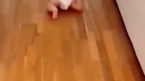 Cute crawling babies😍