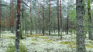 Incredibly fabulous place!