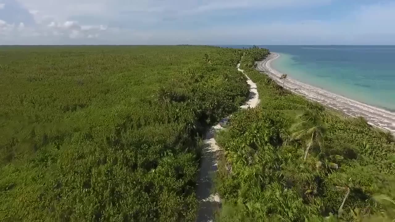 sea waves & Beach drone video | free hd video