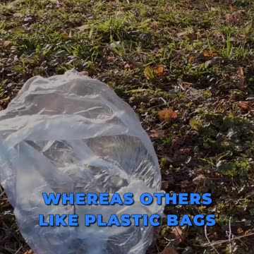 🌞 The Plastic Sunlight Saga 🌞