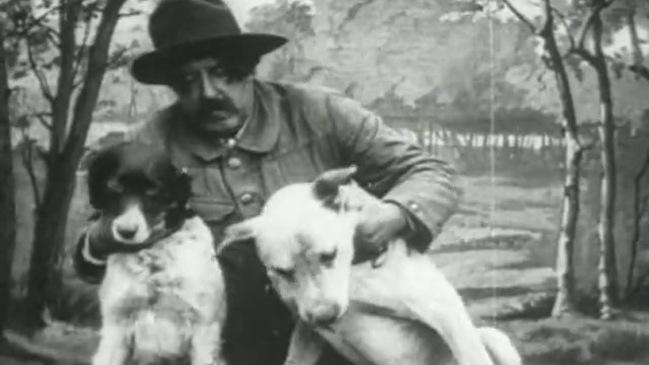 Dogs Used As Smugglers (1906 Original Black & White Film)
