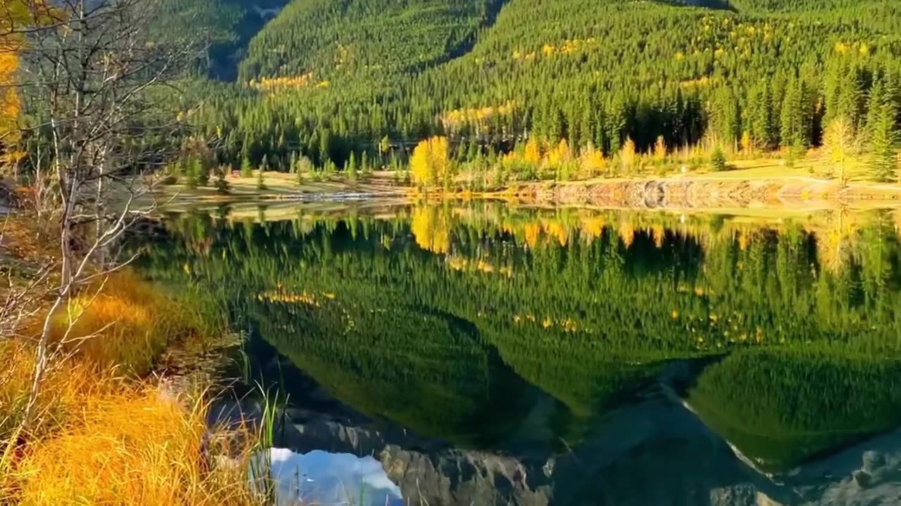 The Beautiful Nature Of PProvince Of The Alberta In Canada