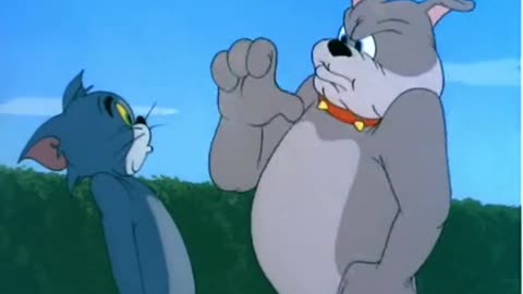 том и джерри
