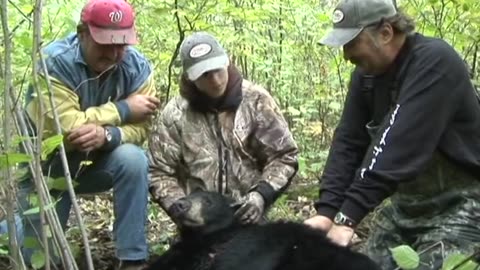 Josh Raglin's First Bear with a Bow!