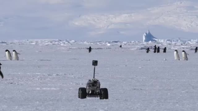 Driving the penguin rover on the sea ice Long Camp during 2019.12.14.