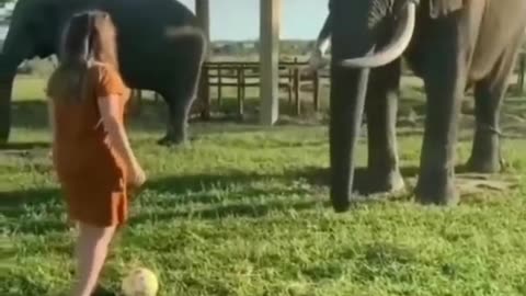 Best Funny Animal Videos 2023😂 😂