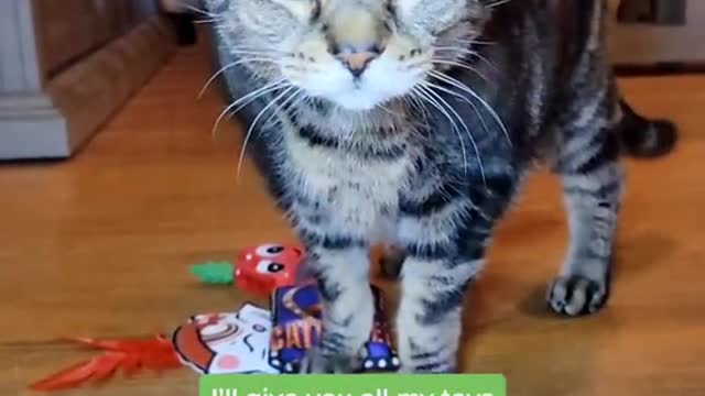 MUST WATCH - WILLOW BIDEN MOVED INTO WHITE HOUSE 😽😽😽