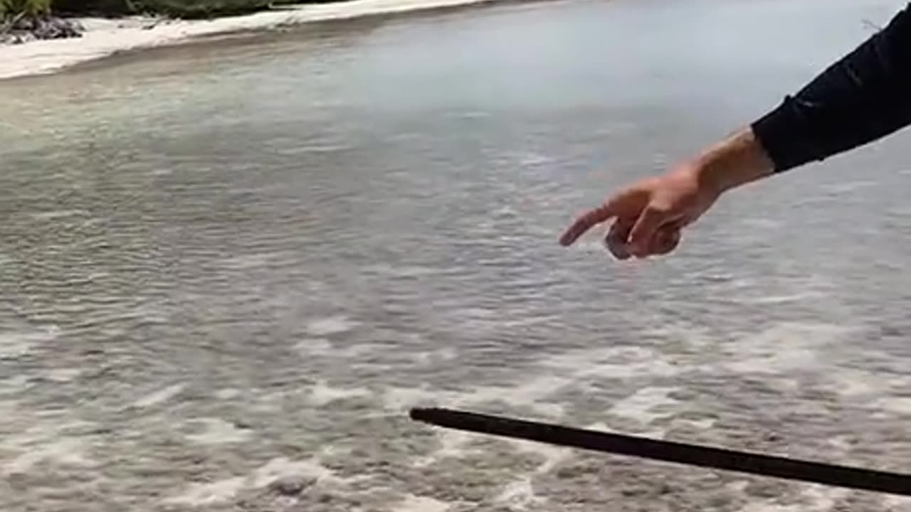 That-thing-can-chop-you-a-leg-easily-part 18