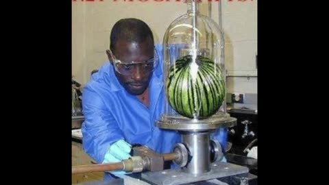 Random Memes 223