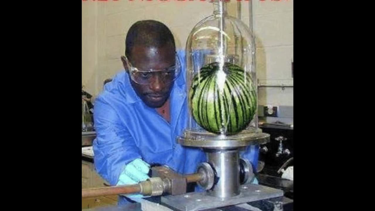 Random Memes 223