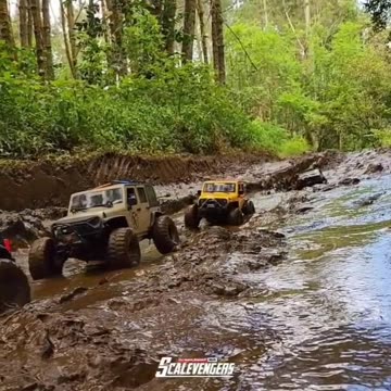 #004 Trailing in the junggle