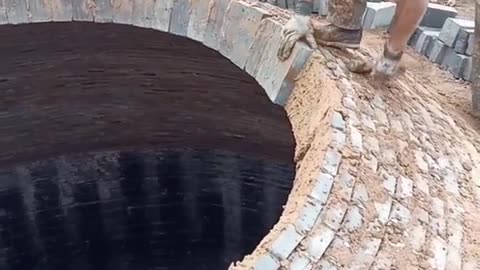 Crc vídeos curiosos