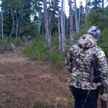 I love watching them attaining knowledge