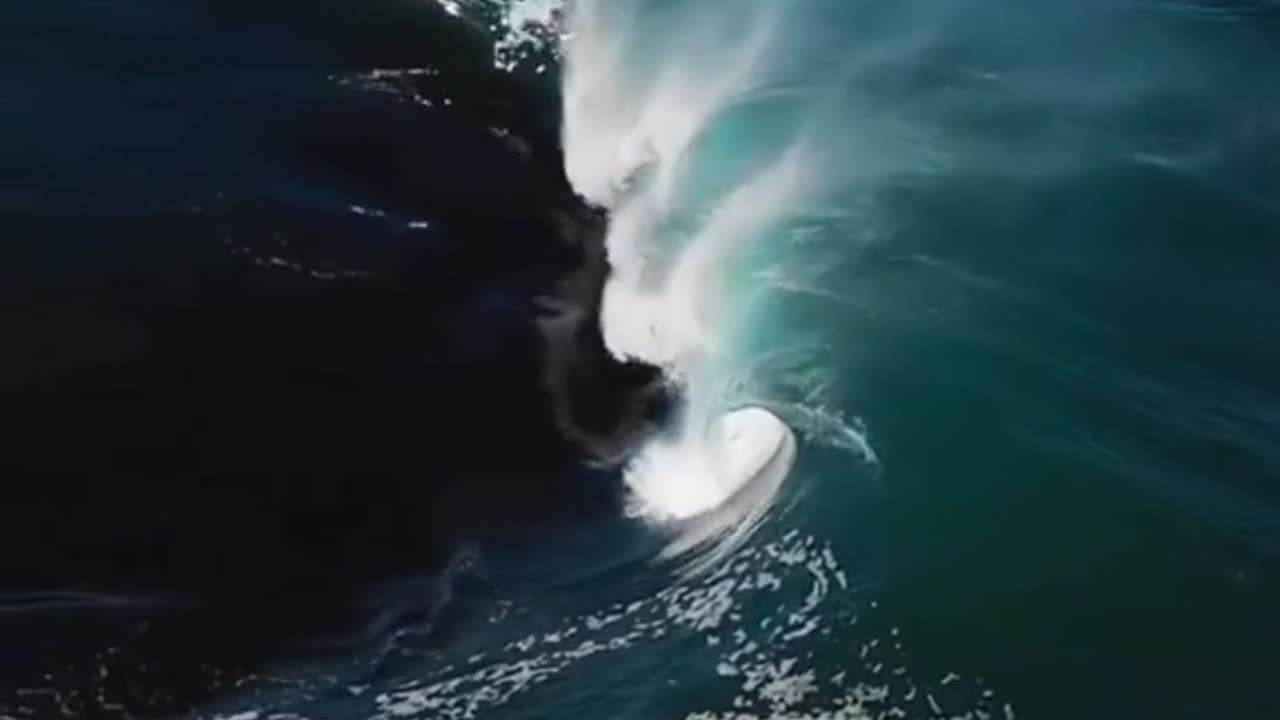Discover the Sea - part 2