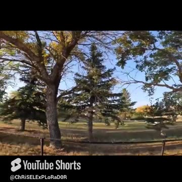 "Explorando un Cementerio Histórico Tumbas y Paisajes Increíbles"