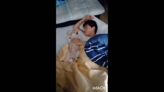 good morning, my brother