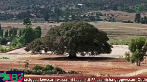 Oduu Waaree ONM-ABO Fulbaana 23, 2023