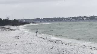 Destin ,Florida on a ☔️day