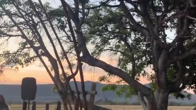 De um dia normal no melhor lugar do mundo