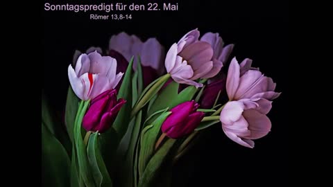 Sonntagspredigt für den 22. Mai
