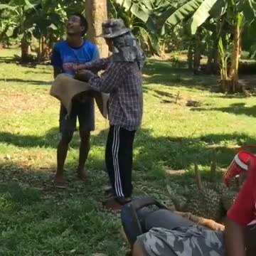 the work of skilled farmers