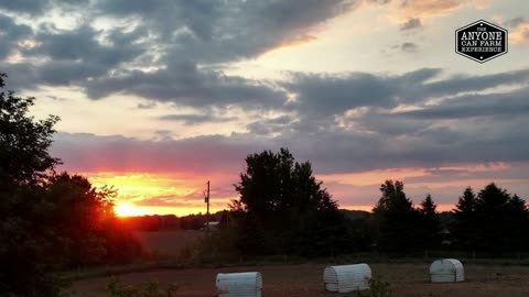 Breaking the Hay Habit