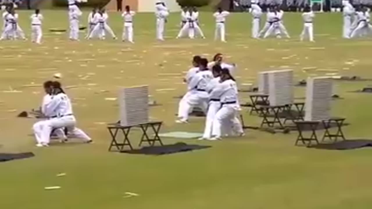 Taekwondo